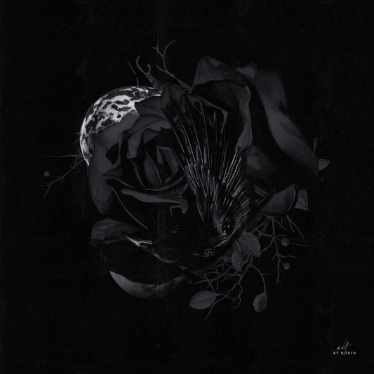 Umbra Noctis surreal dark canvas wall art with dark tones on black textured background